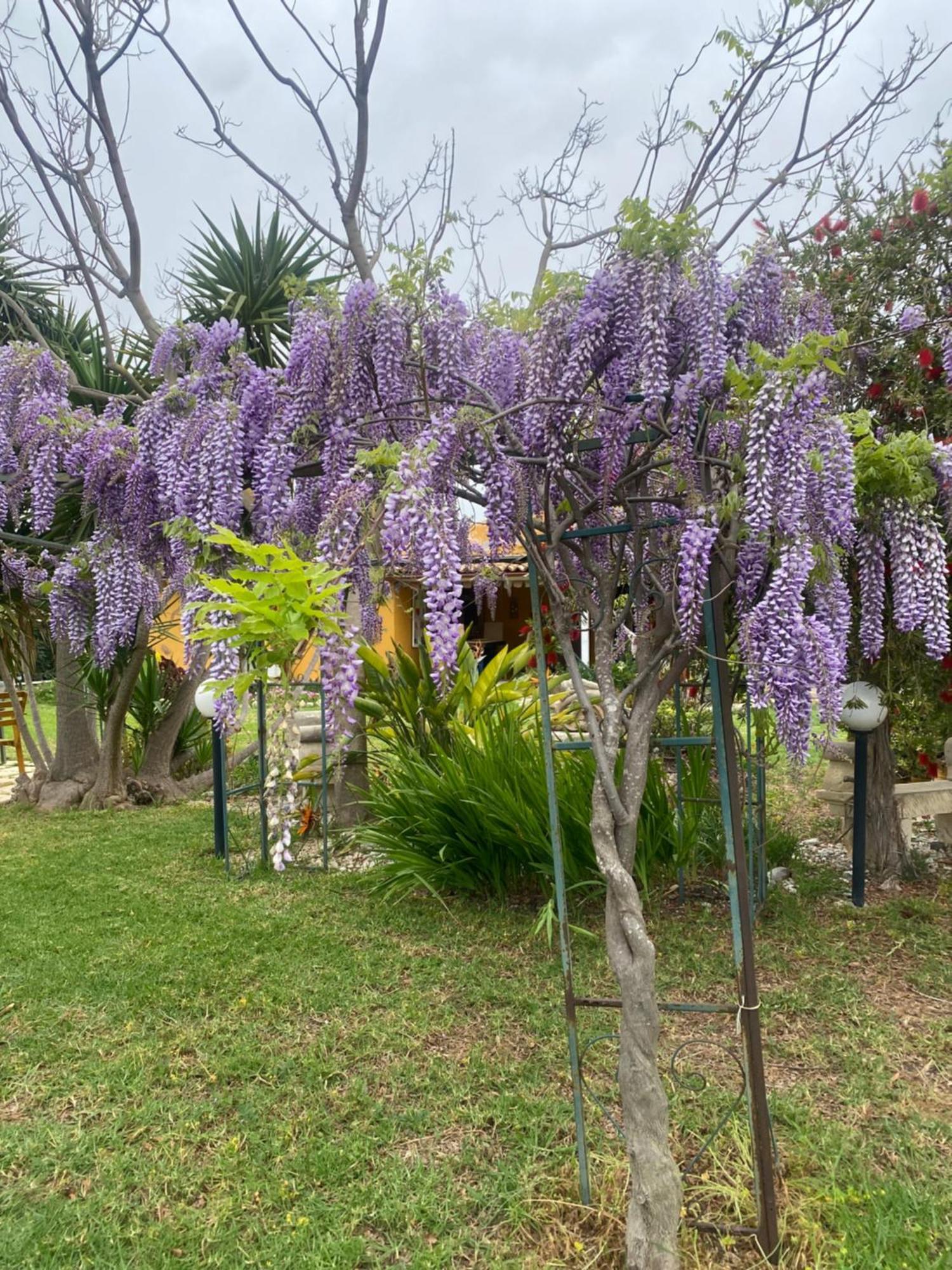 Agrib&b Lemontree Garde'n Bed & Breakfast