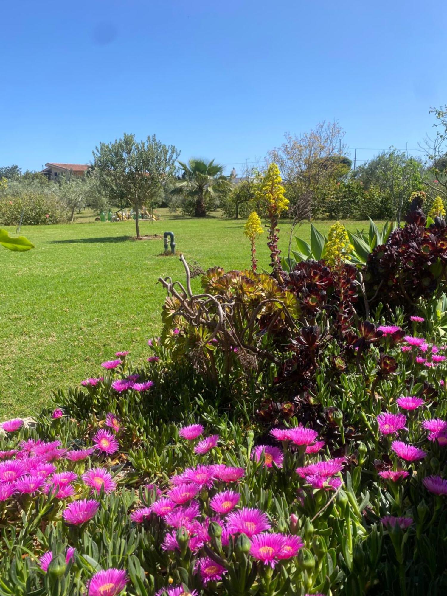 Agrib&b Lemontree Garde'n Bed & Breakfast Syracuse