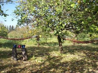 Agrib&b Lemontree Garde'n