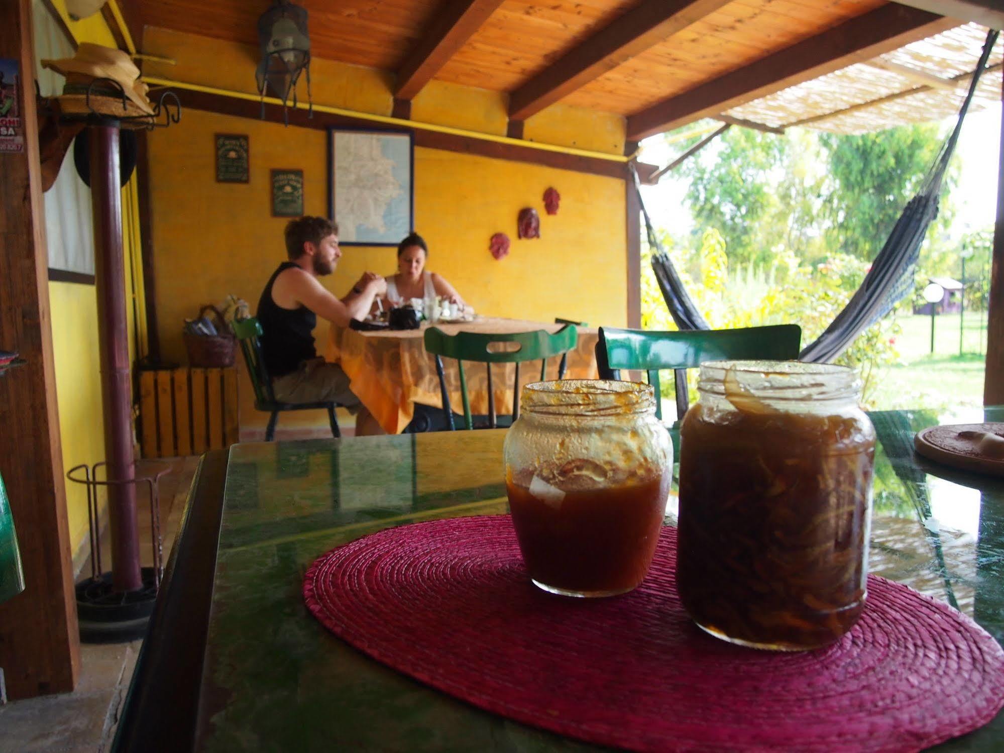 Bed & Breakfast Agrib&b Lemontree Garde'n 2*