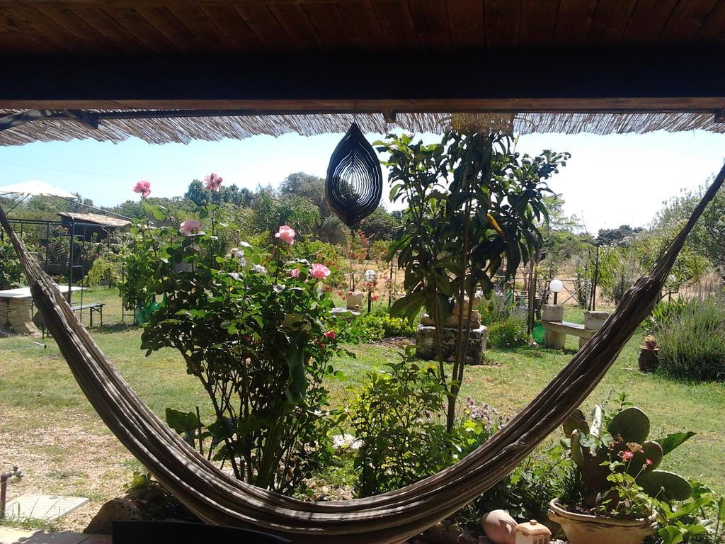 Agrib&b Lemontree Garde'n